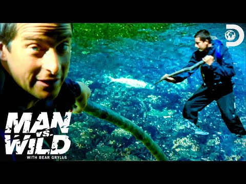 Bear Grylls Goes Spear Fishing and Climbs a Waterfall | Man vs. Wild