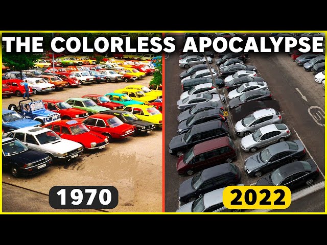The Colorless Apocalypse: How Earth is Turning Monochrome!