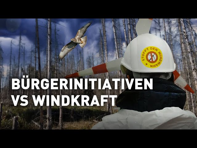 Battle in the Reinhardswald – How opponents of the energy transition torpedoed a wind farm | docu