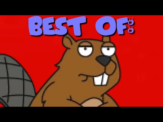 best of: The Dumb Beaver