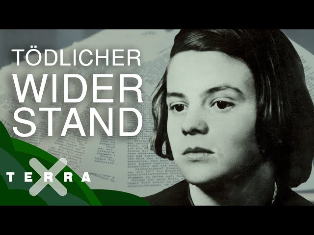 Sophie Scholl – so kämpfte sie gegen das NS-Regime