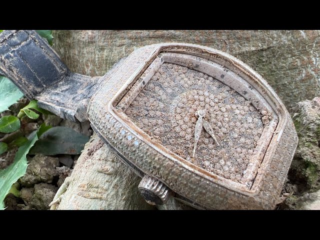 Restoration  Franck Muller V32 Full Diamond watch buried after many years