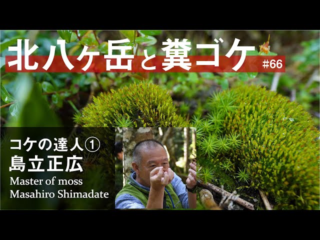 Master of moss: Mr.Masahiro Shimadate  Chasing "feces" moss at Mt. Kita-Yatsugatake!?