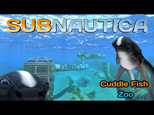 Cuddlefish Zoo!