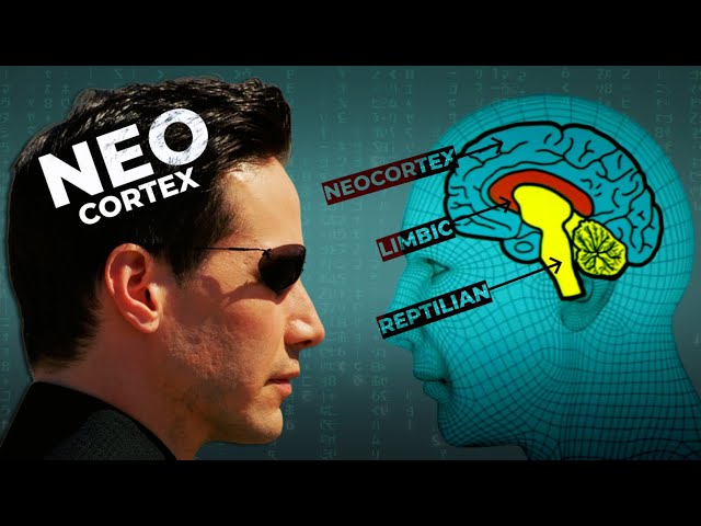 Trapped in the Reptilian Brain: The Real Matrix
