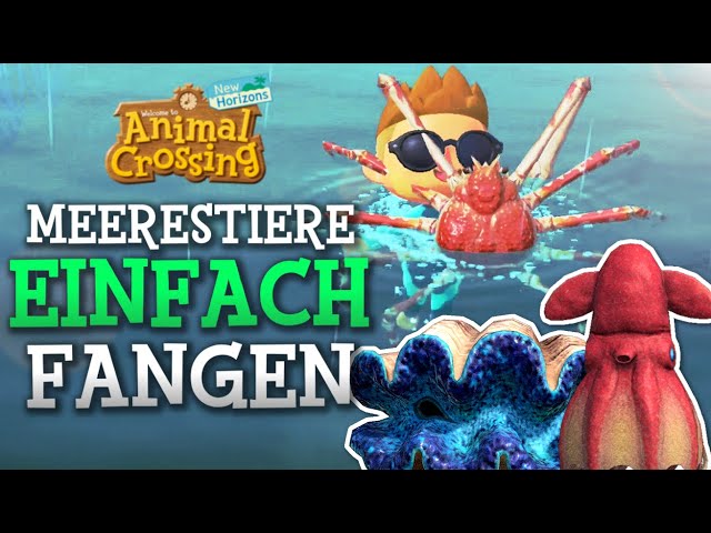 Die TEUERSTEN Meerestiere EINFACH fangen! (Meerestiere-Rangliste) | Animal Crossing New Horizons 🌟