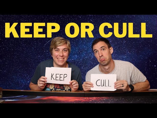 KEEP OR CULL!!! | Board Game Perspective