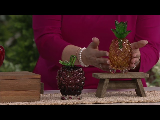 Plow & Hearth Glass Fruit Fly Trap on QVC