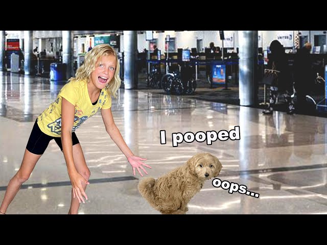 First time flying with a puppy! IT WAS BAD!