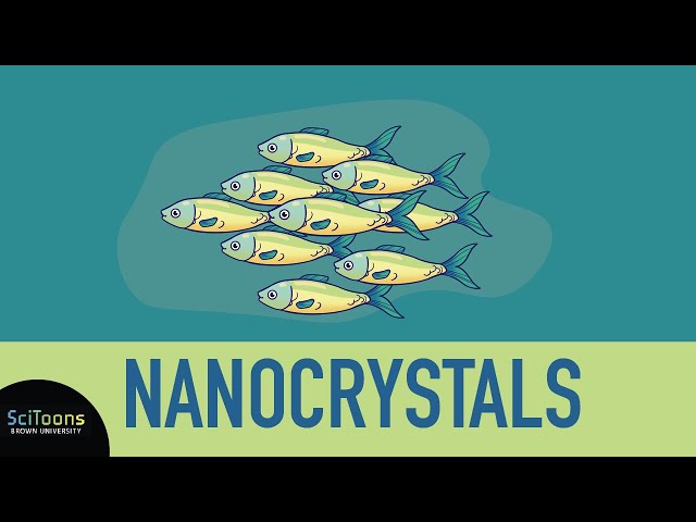 Nanocrystal Assemblies: Gaining Power in Numbers
