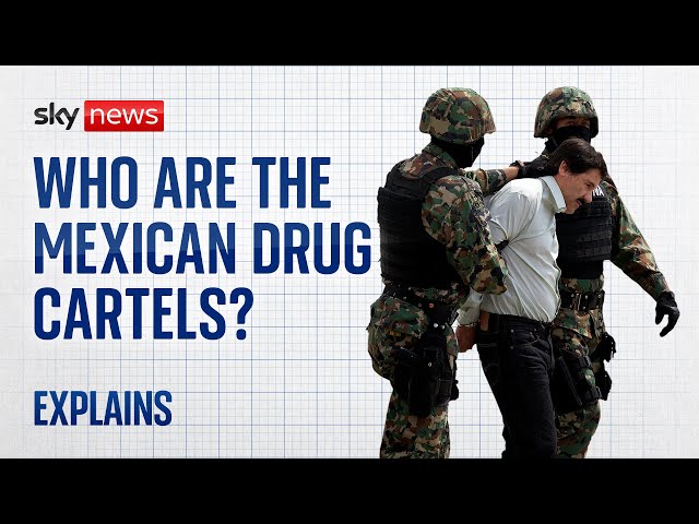 Who are the Mexican drug cartels?
