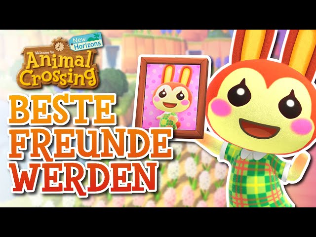 Freundschaft ERHÖHEN und BILDER bekommen! (Freundschaftsguide) | Animal Crossing New Horizons🌟Guide