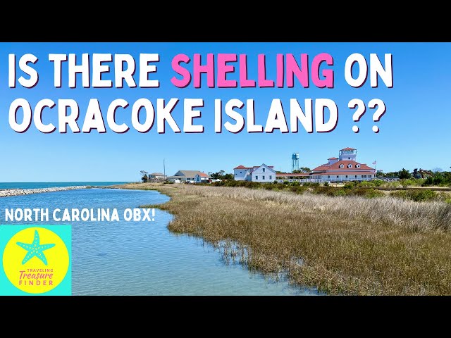Shelling on Ocracoke Island? Is it good or not-so-good? | Outer Banks Excursion!
