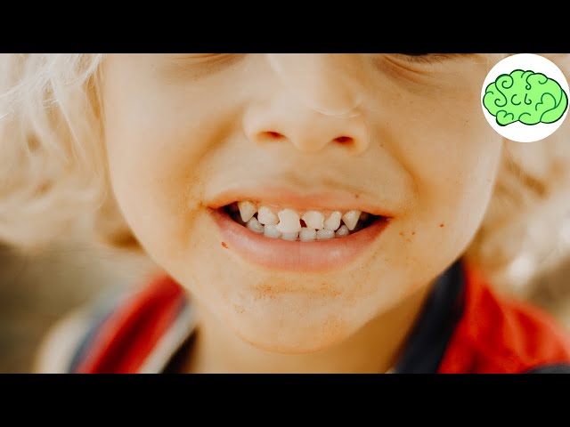 Why do we have baby teeth? | Hindi | Science Paranoia