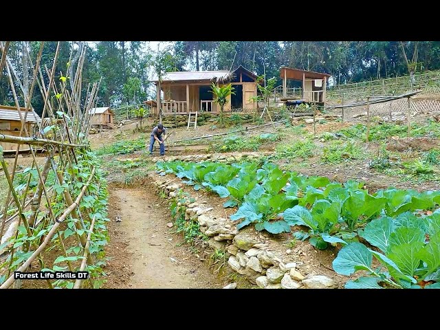Full video: Harsh days on the farm, Growing black beans, seeding, reinforcing CABIN