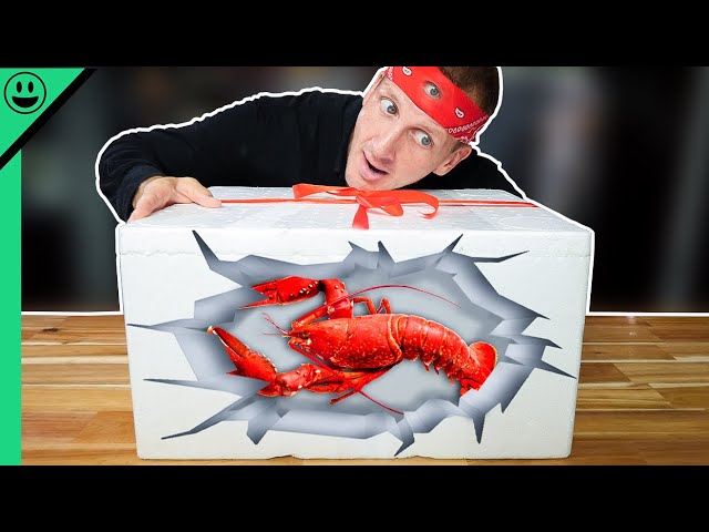 Mystery Box Cooking Challenge!! LIVE 5 Pound Lobster!