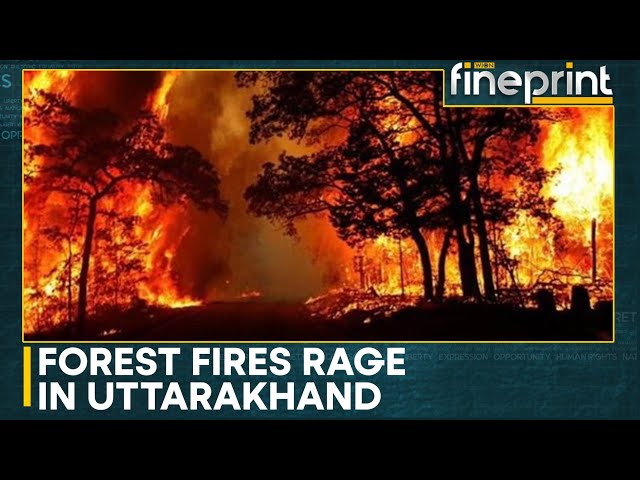 India: Deadly forest fires sweep Uttarakhand, 5 dead | Latest News | WION Fineprint