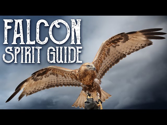 Falcon Spirit Guide - Ask the Spirit Guides Oracle Totem Animal - Power Animal - Magical Crafting