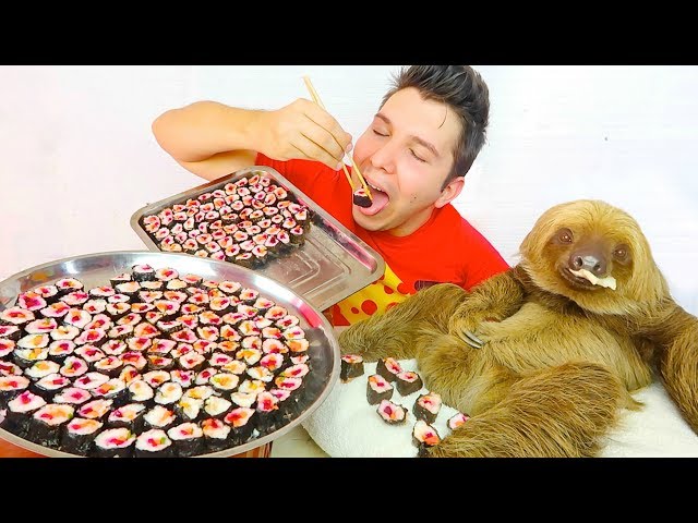200 Sushi Challenge With My Sloth • MUKBANG
