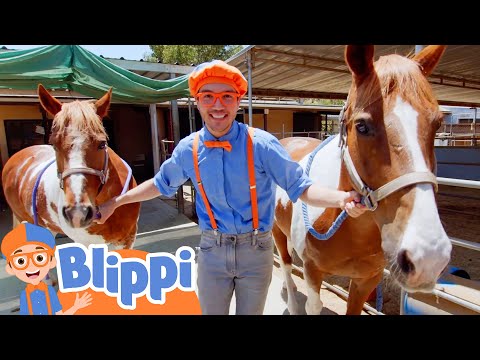 Learn about animals with Blippi! - Educational Kids Videos