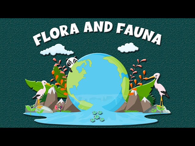 Flora & Fauna: Definition, Importance, Types & Examples - Learning Junction