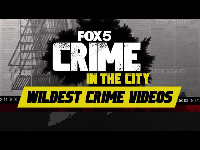 Wildest Crime Videos