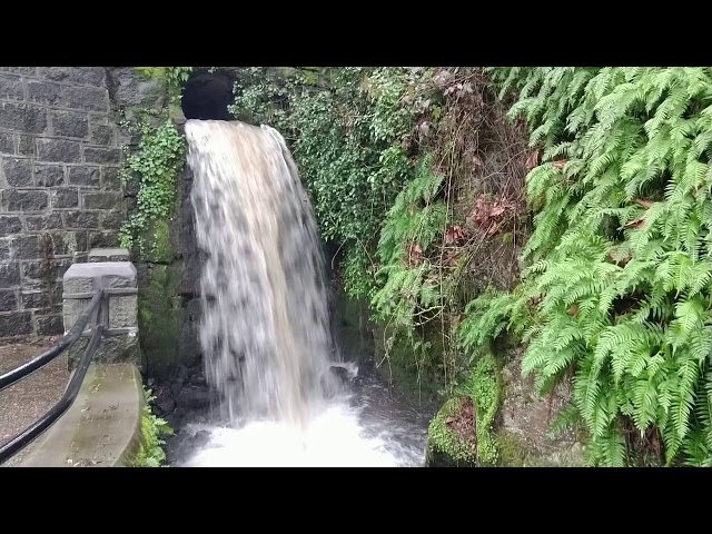 Singer Hill Creek Falls and Stairs, Oregon City, Binaural Walking Experiment