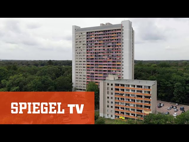 Hartes Pflaster: Sozialer Brennpunkt Offenbach | SPIEGEL TV