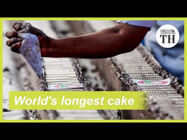 Bakers from India make the world’s longest cake