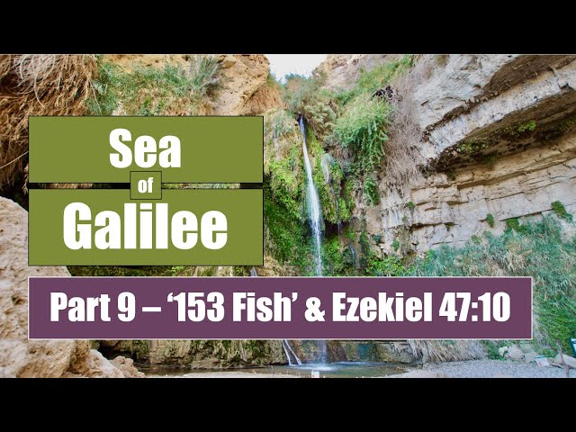 153 Fish and Ezekiel 47:10 - Sea of Galilee (pt. 9 of 21)