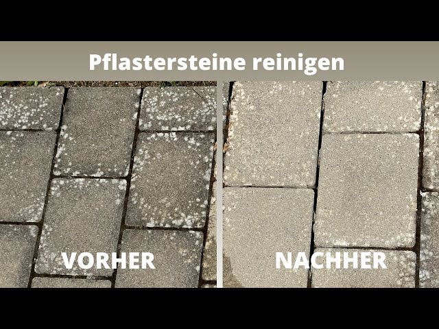 Pflastersteine reinigen  | Flechten, Moos & Schwarzalgen von Terrassen und Steinplatten entfernen