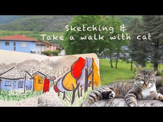 Studio VLog, Take a walk with my cat, simple lanscape sketching with ink pen and markers.