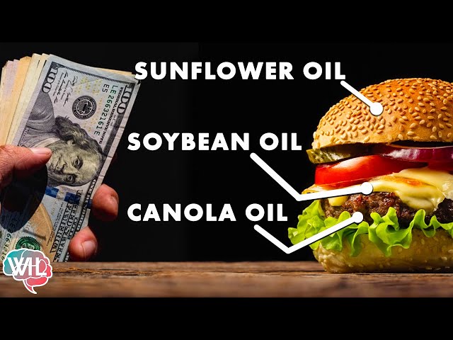 The $100 Billion Dollar Ingredient making your Food Toxic