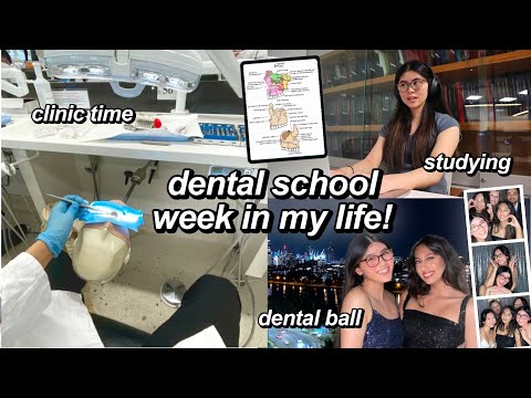 Dental School Vlogs