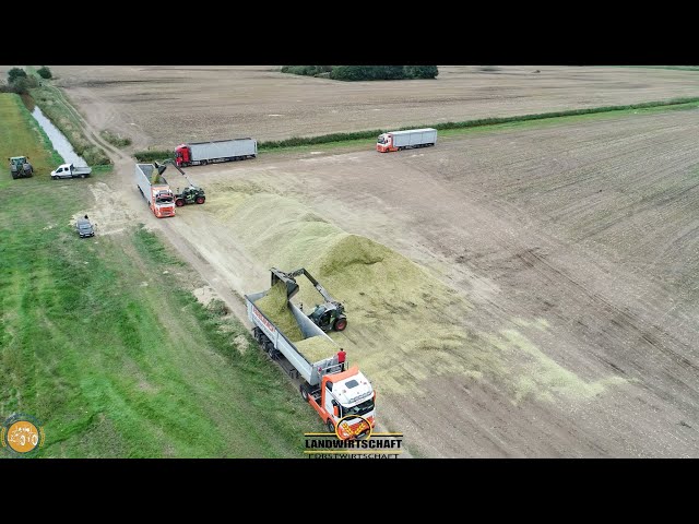 4000 Tonnen Maissilage Gilt es zu Häckseln & zu Verladen Landwirtschaftlicher Großeinsatz 2021