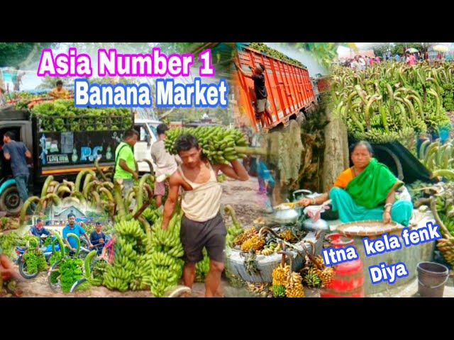 Asia Number one Banana Market Asia's largest Banana Market 👍
