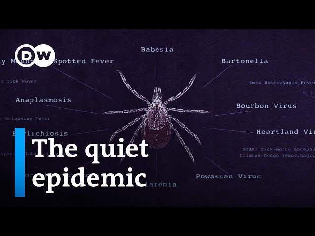 Lyme disease and the fight for recognition | DW Documentary
