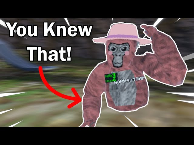 5 Things you Did Know about Gorilla Tag...