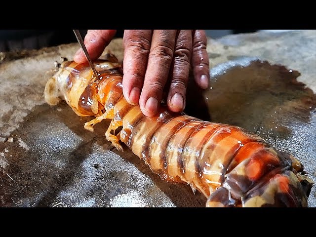 Indonesian Street Food - GIANT ALIEN SHRIMP Seafood Indonesia