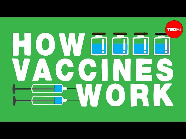 How do vaccines work? - Kelwalin Dhanasarnsombut