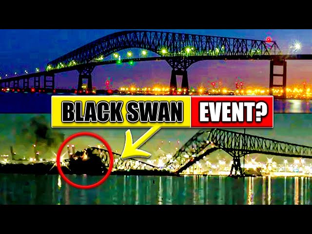 Was the Baltimore Bridge COLLAPSE a BLACK SWAN EVENT？