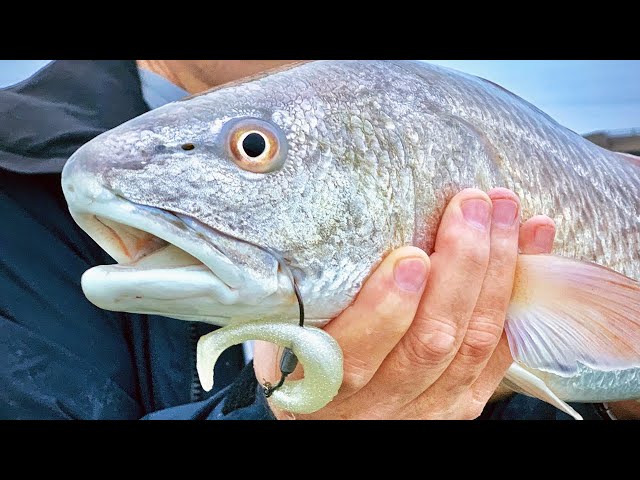 Top 5 Spring Inshore Fishing Lures (For Redfish, Trout, Snook, & Flounder)