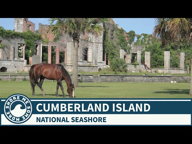 Cumberland Island National Seashore, Georgia - Things to Do and See When You Go