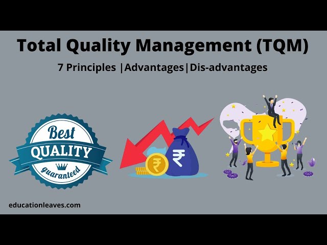 What is Total Quality management (TQM)? |  7 Principles of Total Quality Management