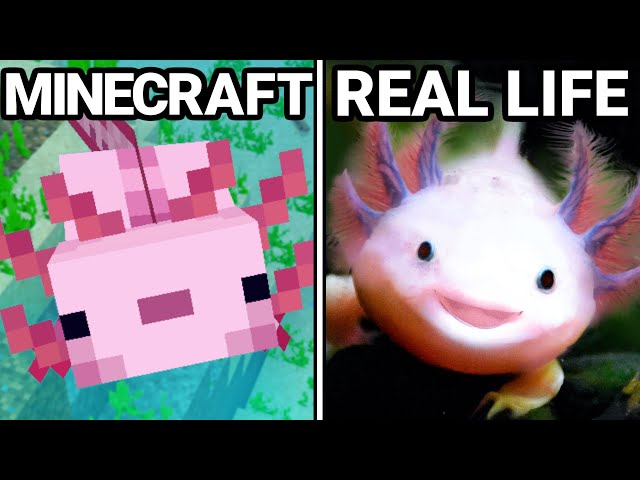 30 Minecraft Items VS Real Life!