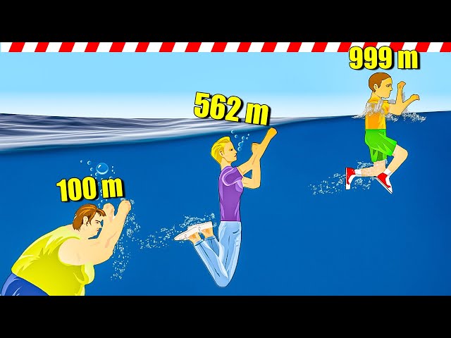 I forced people to swim in a 1000 mile pool
