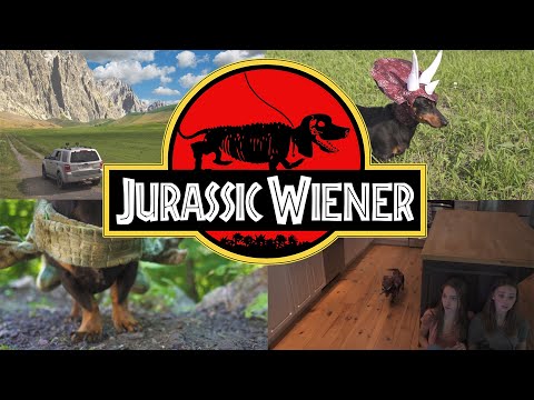 Ep. 1: "Jurassic Wiener" - Dachshund Dinosaurs!
