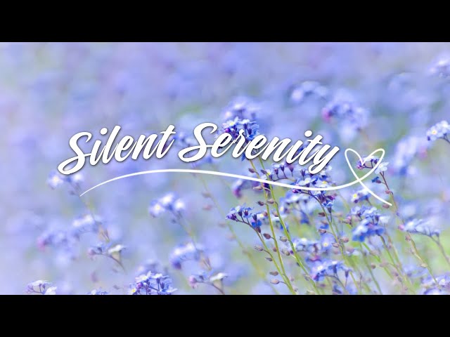 Silent Serenity 🎶 Piano Relax Music