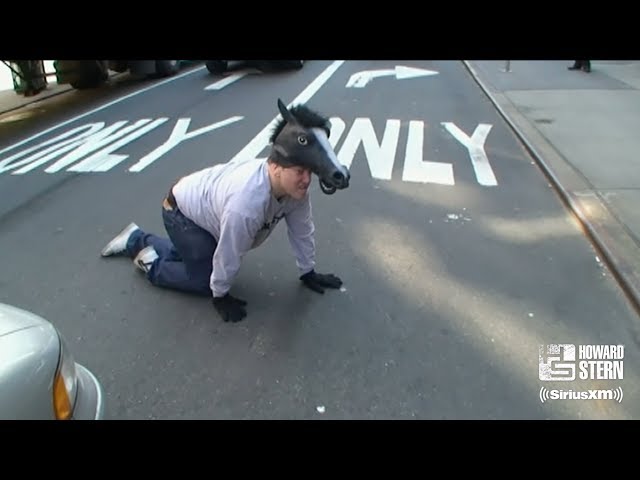 Benjy Bronk Acts Like a Horse on the Streets of New York