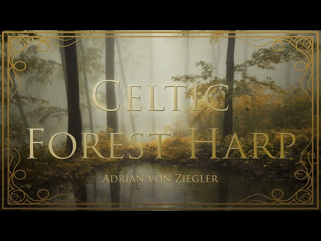 1 Hour of Relaxing Celtic Forest Harp